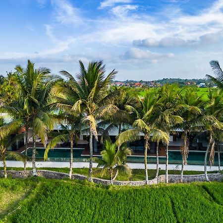 Green Flow Ubud Villa 20 Exterior foto