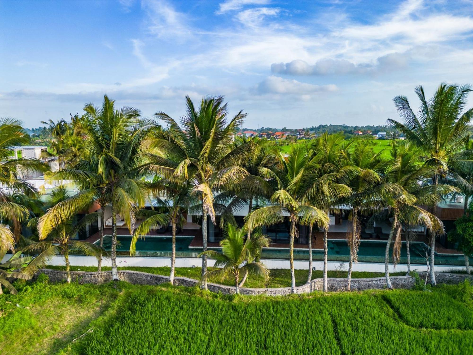 Green Flow Ubud Villa 20 Exterior foto