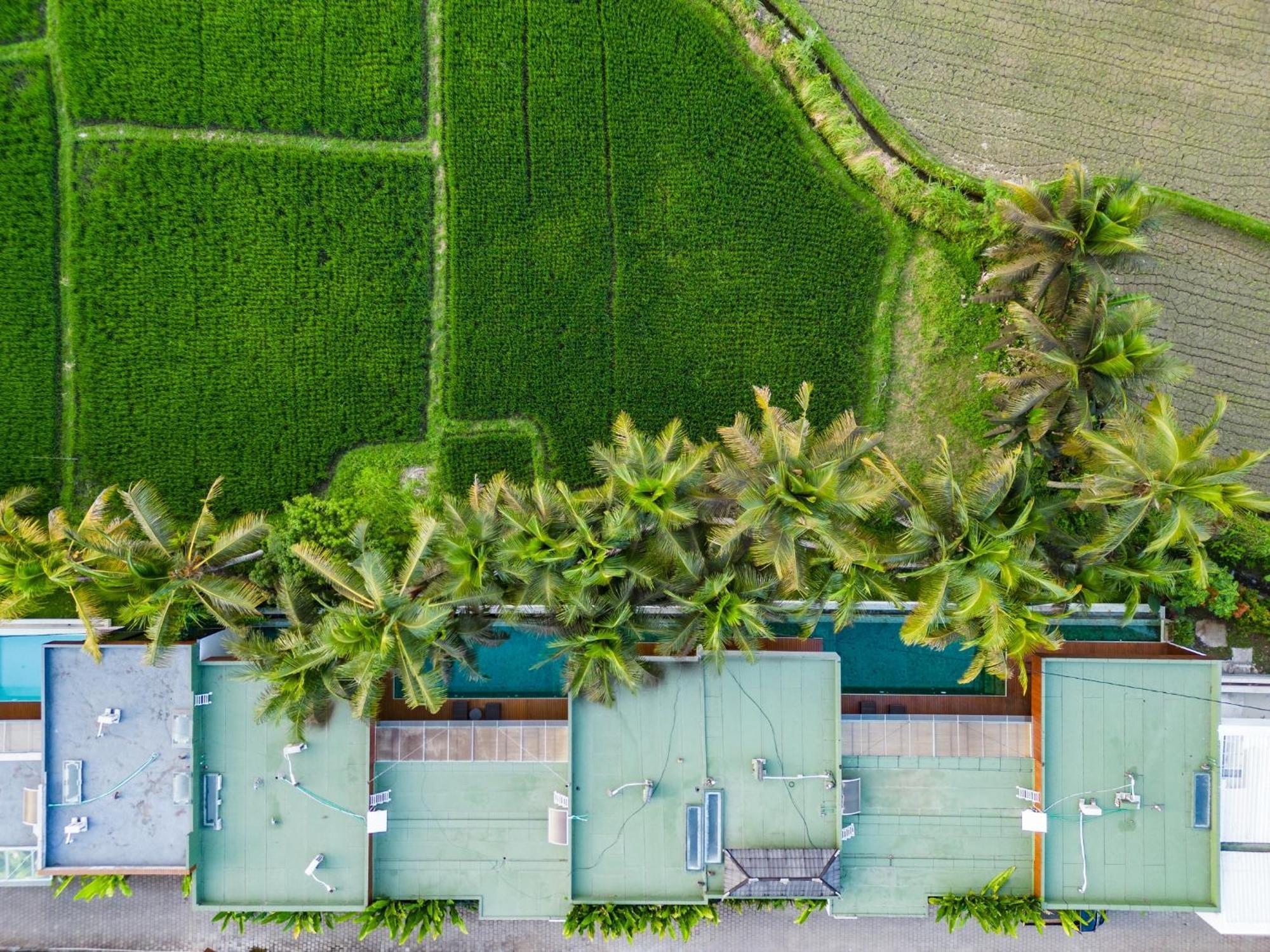 Green Flow Ubud Villa 20 Exterior foto